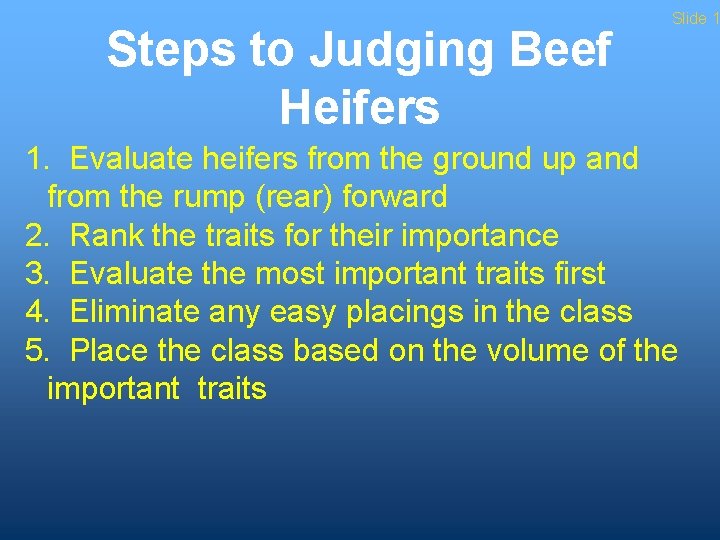 Steps to Judging Beef Heifers Slide 1 1. Evaluate heifers from the ground up