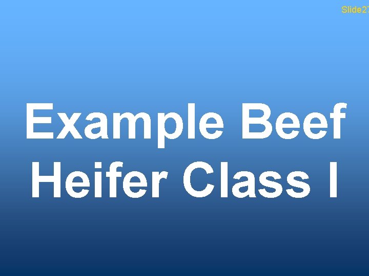 Slide 27 Example Beef Heifer Class I 