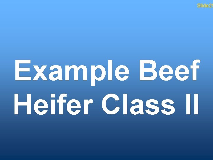Slide 29 Example Beef Heifer Class II 