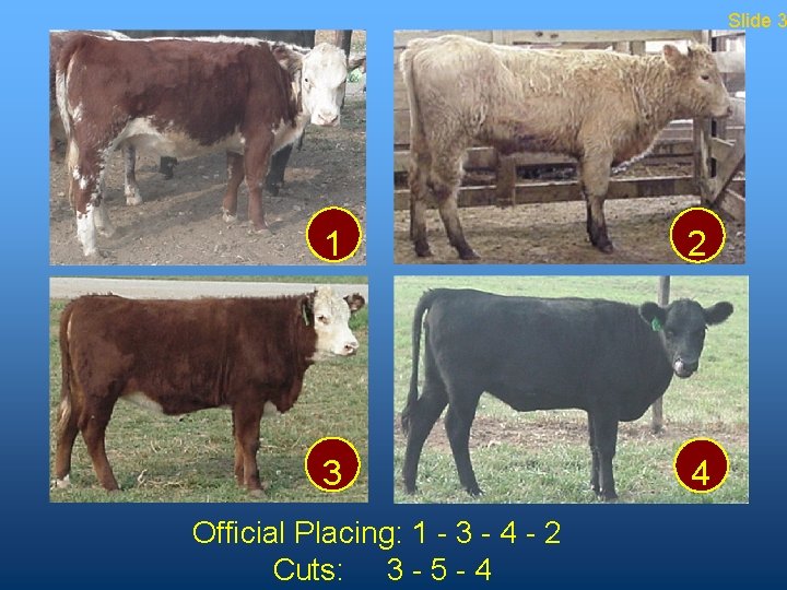 Slide 3 1 2 3 4 Official Placing: 1 - 3 - 4 -