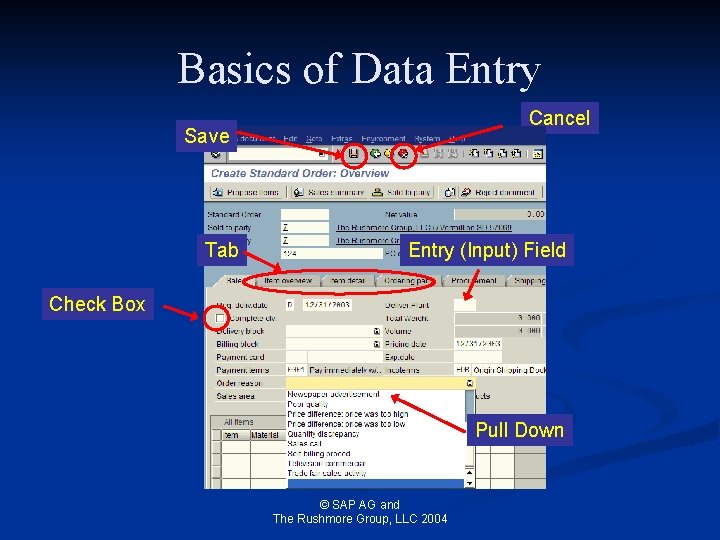 Basics of Data Entry Cancel Save Tab Entry (Input) Field Check Box Pull Down