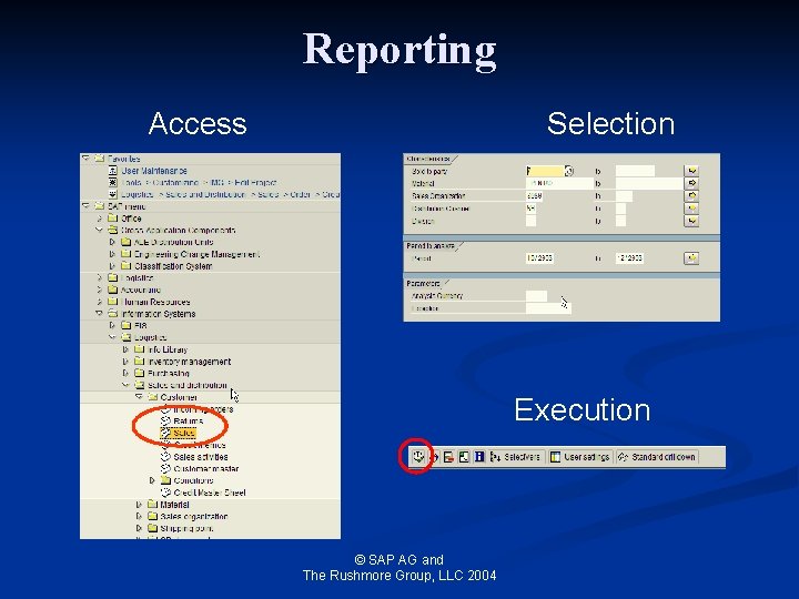 Reporting Access Selection Execution © SAP AG and The Rushmore Group, LLC 2004 