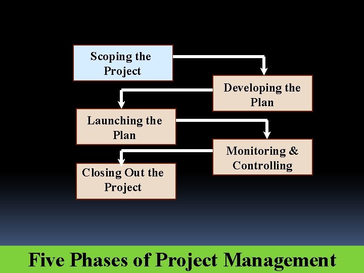 Scoping the Project Developing the Plan Launching the Plan Closing Out the Project Monitoring