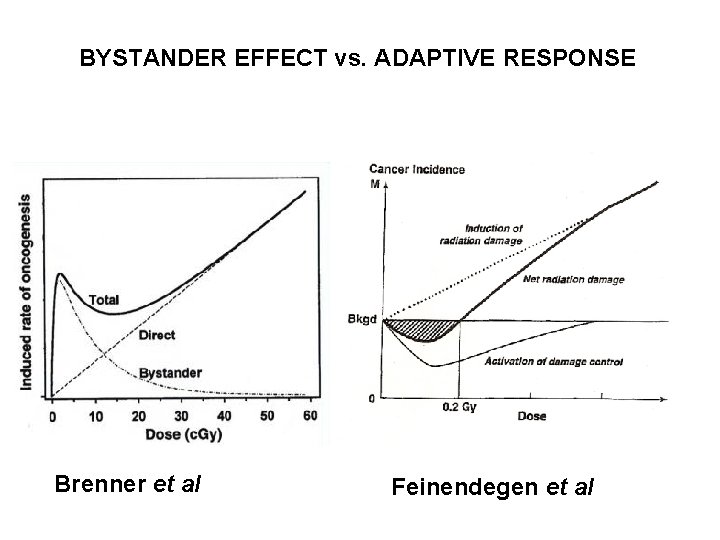 BYSTANDER EFFECT vs. ADAPTIVE RESPONSE Brenner et al Feinendegen et al 