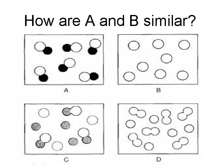 How are A and B similar? 