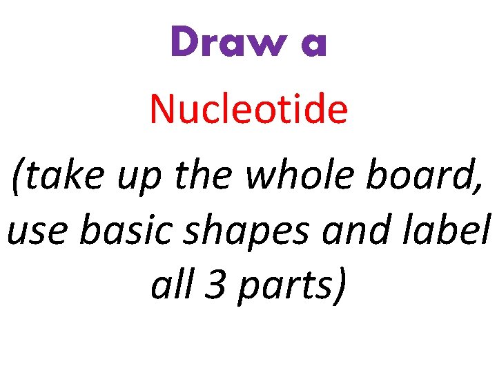 Draw a Nucleotide (take up the whole board, use basic shapes and label all