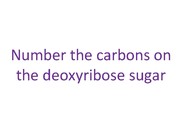 Number the carbons on the deoxyribose sugar 