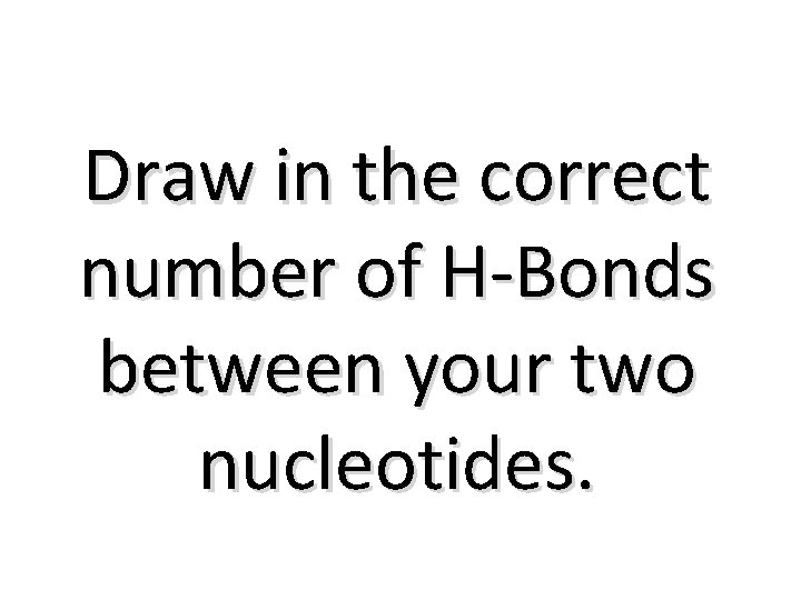 Draw in the correct number of H-Bonds between your two nucleotides. 