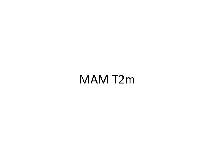 MAM T 2 m 