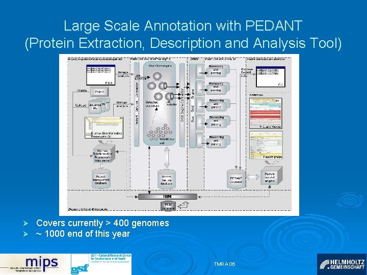 Large Scale Annotation with PEDANT (Protein Extraction, Description and Analysis Tool) Ø Ø Covers