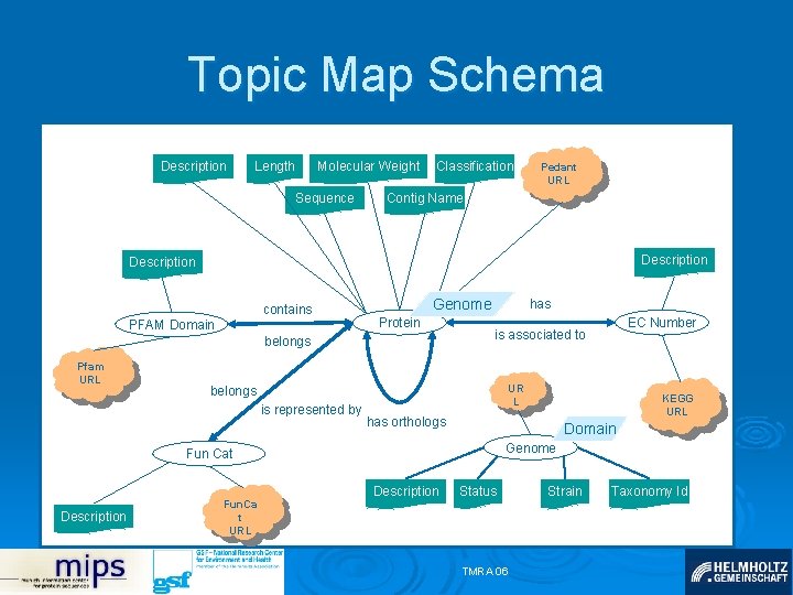 Topic Map Schema is represented by Description Length Molecular Weight Sequence Classification Pedant URL