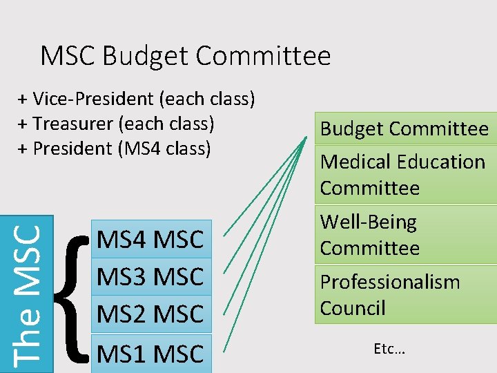 MSC Budget Committee + Vice-President (each class) + Treasurer (each class) + President (MS