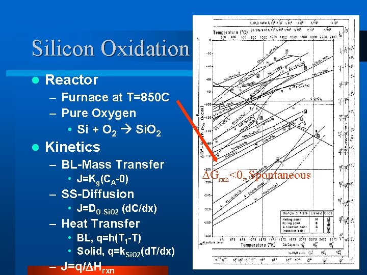 Silicon Oxidation l Reactor – Furnace at T=850 C – Pure Oxygen • Si