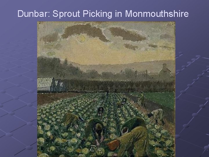 Dunbar: Sprout Picking in Monmouthshire 