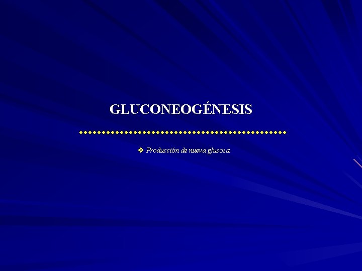 GLUCONEOGÉNESIS v Producción de nueva glucosa. 