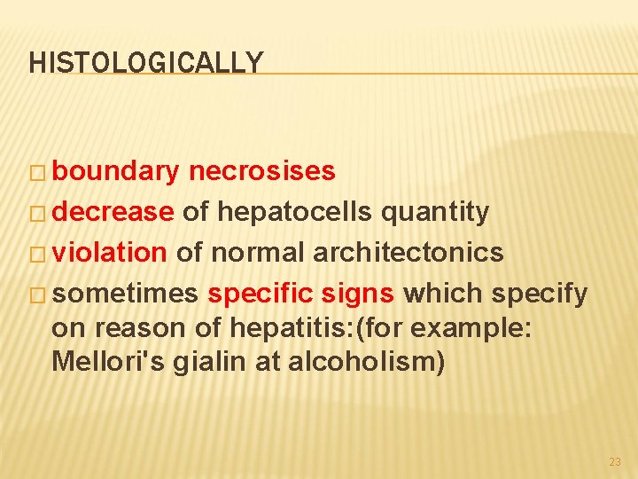 HISTOLOGICALLY � boundary necrosises � decrease of hepatocells quantity � violation of normal architectonics