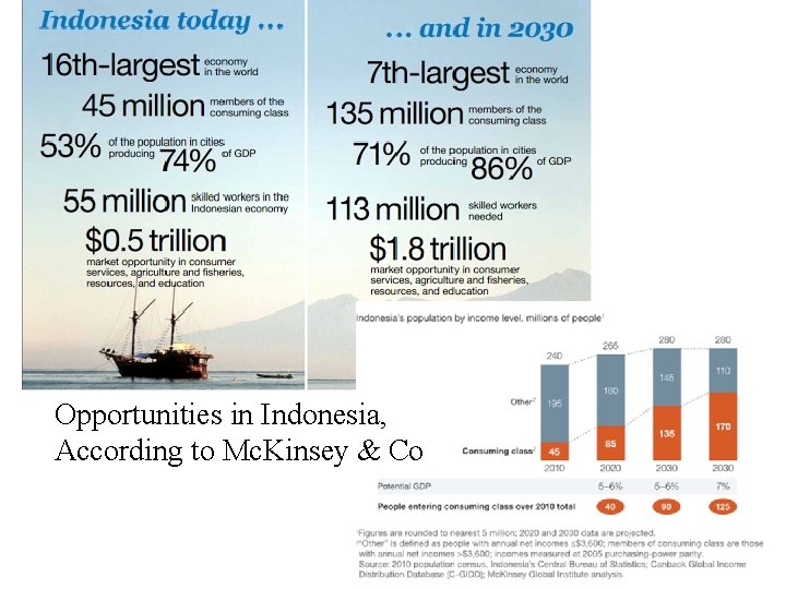 Opportunities in Indonesia, According to Mc. Kinsey & Co 10 