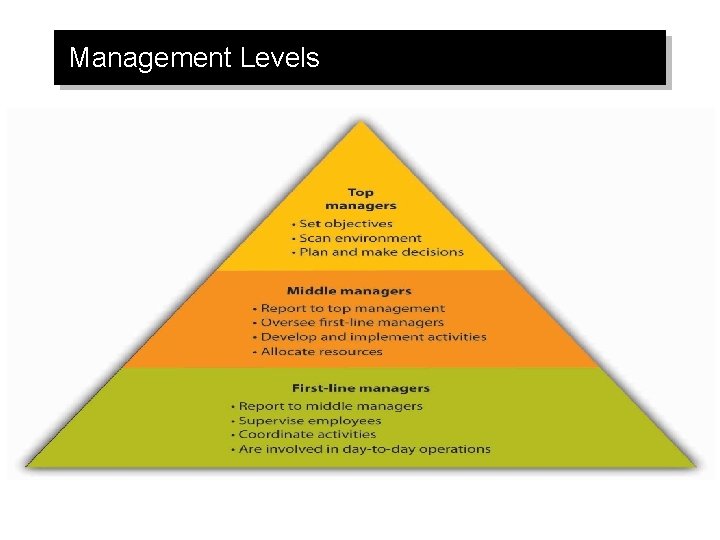 Management Levels 