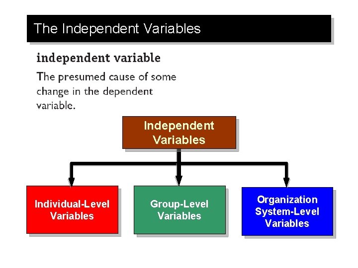 The Independent Variables Individual-Level Variables Group-Level Variables Organization System-Level Variables 
