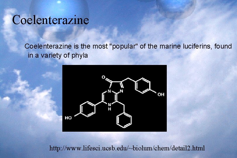 Coelenterazine is the most "popular" of the marine luciferins, found in a variety of