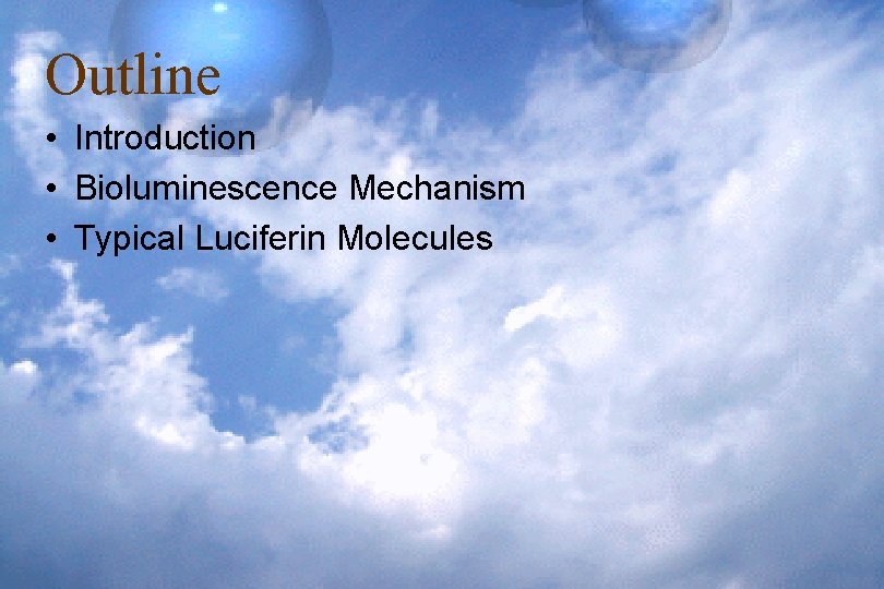 Outline • Introduction • Bioluminescence Mechanism • Typical Luciferin Molecules 