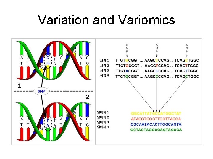 Variation and Variomics 