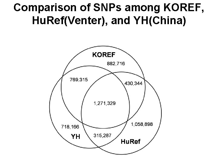 Comparison of SNPs among KOREF, Hu. Ref(Venter), and YH(China) 