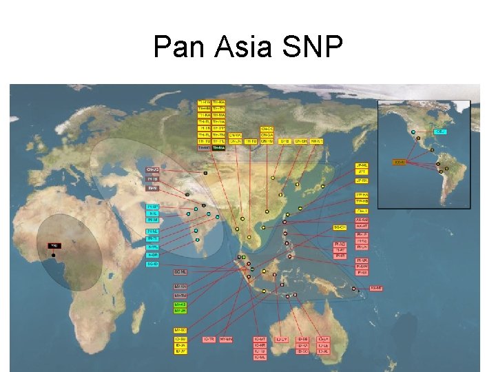 Pan Asia SNP 