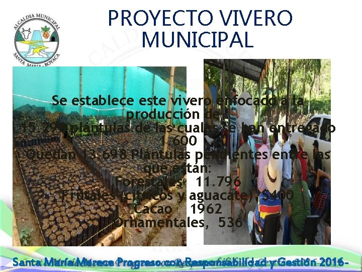  PROYECTO VIVERO MUNICIPAL Se establece este vivero enfocado a la producción de :