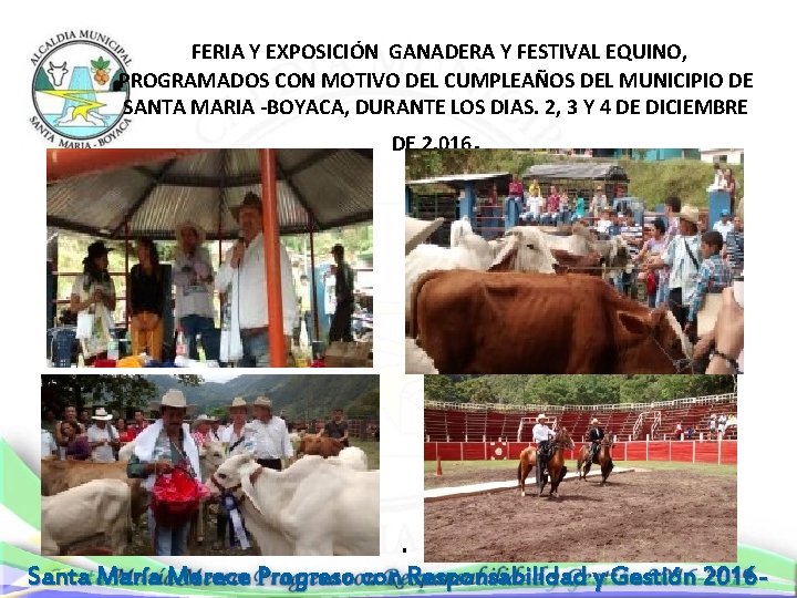  FERIA Y EXPOSICIÓN GANADERA Y FESTIVAL EQUINO, PROGRAMADOS CON MOTIVO DEL CUMPLEAÑOS DEL