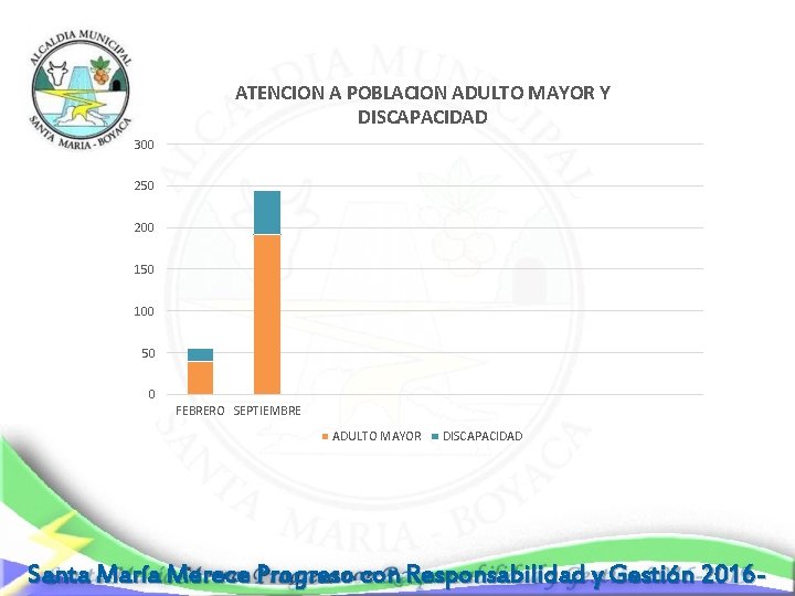 ATENCION A POBLACION ADULTO MAYOR Y DISCAPACIDAD 300 250 200 150 100 50 0