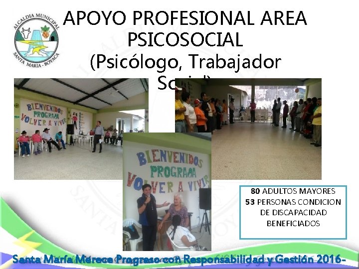 APOYO PROFESIONAL AREA PSICOSOCIAL (Psicólogo, Trabajador Social) 80 ADULTOS MAYORES 53 PERSONAS CONDICION DE