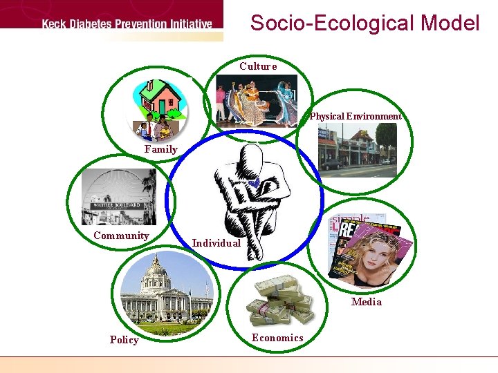 Socio-Ecological Model Culture Physical Environment Family Community Individual Media Policy Economics 