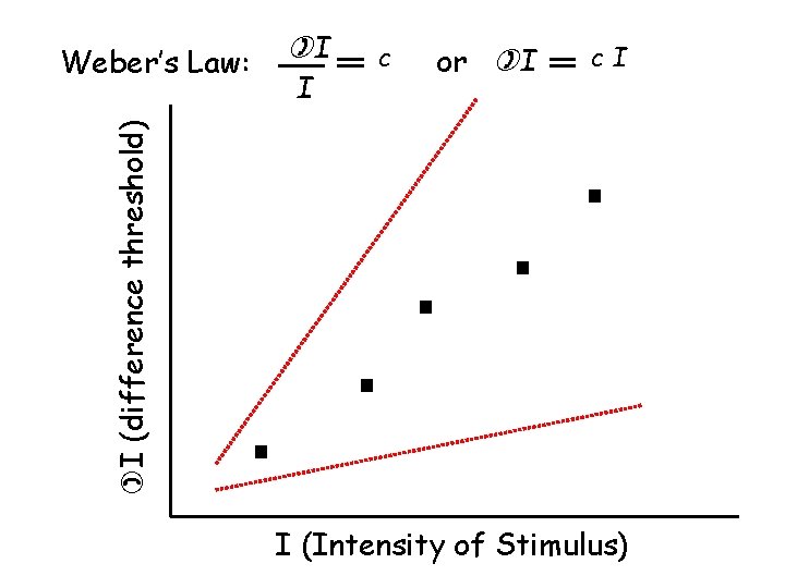  I I c or I c. I I (difference threshold) Weber’s Law: I