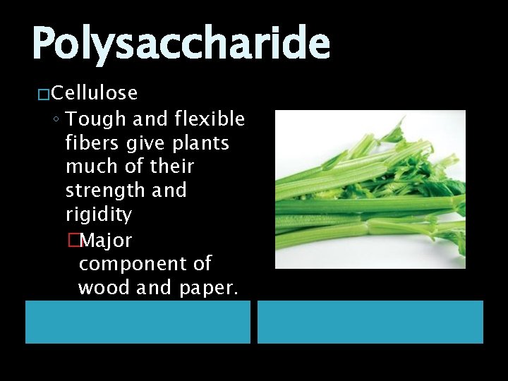 Polysaccharide � Cellulose ◦ Tough and flexible fibers give plants much of their strength