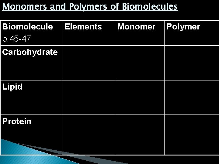 Monomers and Polymers of Biomolecules Biomolecule p. 45 -47 Carbohydrate Lipid Protein Elements Monomer