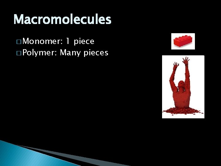 Macromolecules � Monomer: 1 piece � Polymer: Many pieces 