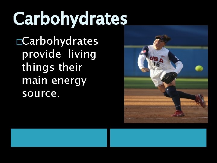 Carbohydrates �Carbohydrates provide living things their main energy source. 