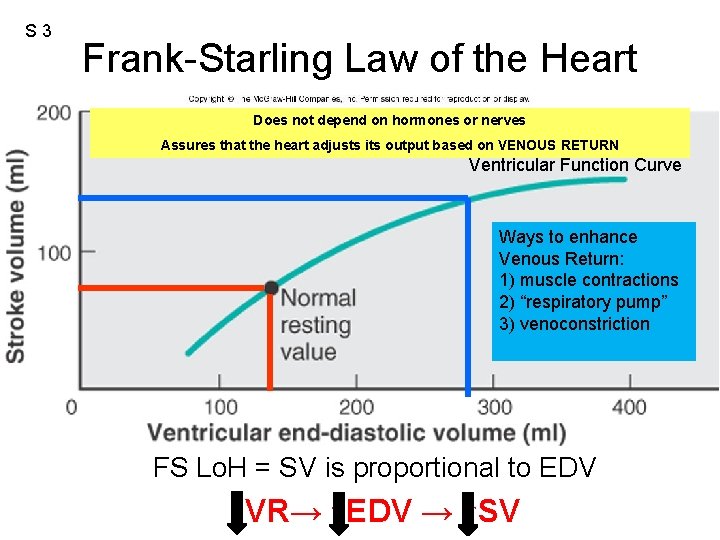 S 3 Frank-Starling Law of the Heart Does not depend on hormones or nerves