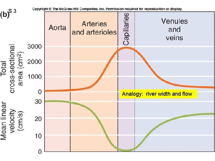 S 3 Fig. 12. 39 b Analogy: river width and flow 