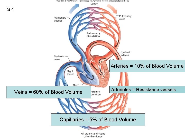 S 4 Figure 12. 02 Arteries = 10% of Blood Volume Veins = 60%