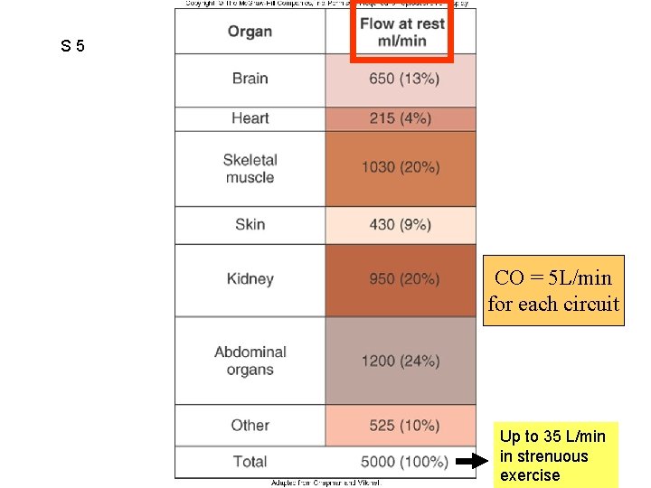 S 5 Figure 12. 04 CO = 5 L/min for each circuit Up to