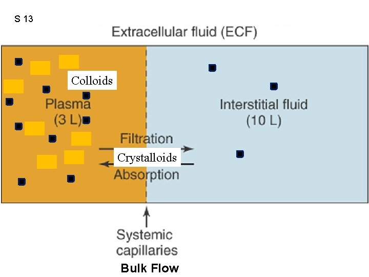 S 13 Figure 12. 41 Colloids Crystalloids Bulk Flow 