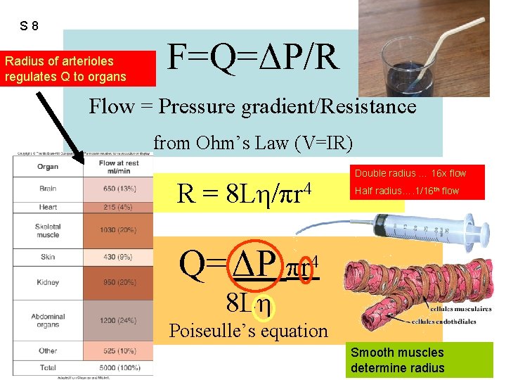 S 8 Radius of arterioles regulates Q to organs F=Q=ΔP/R Flow = Pressure gradient/Resistance