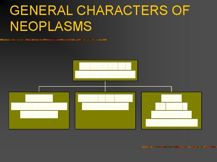 GENERAL CHARACTERS OF NEOPLASMS 