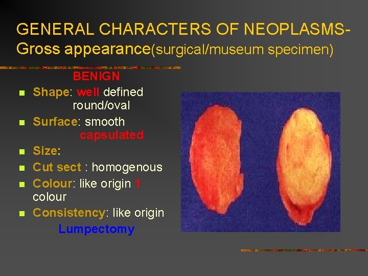 GENERAL CHARACTERS OF NEOPLASMSGross appearance(surgical/museum specimen) n n n BENIGN Shape: well defined round/oval