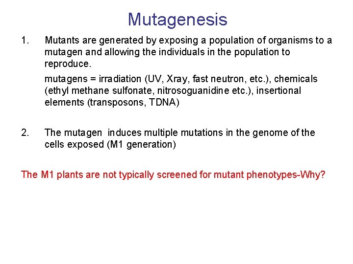 Mutagenesis 1. Mutants are generated by exposing a population of organisms to a mutagen