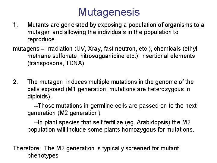 Mutagenesis 1. Mutants are generated by exposing a population of organisms to a mutagen