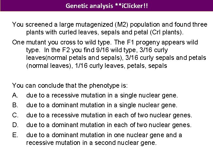 Genetic analysis **i. Clicker!! You screened a large mutagenized (M 2) population and found