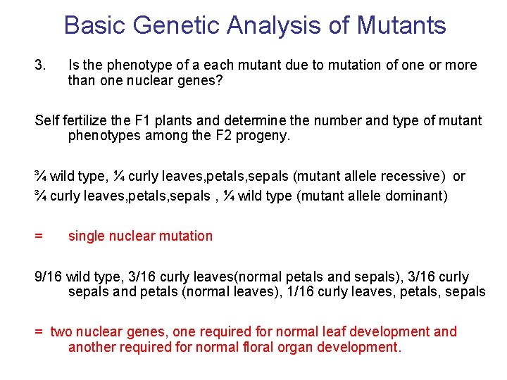 Basic Genetic Analysis of Mutants 3. Is the phenotype of a each mutant due
